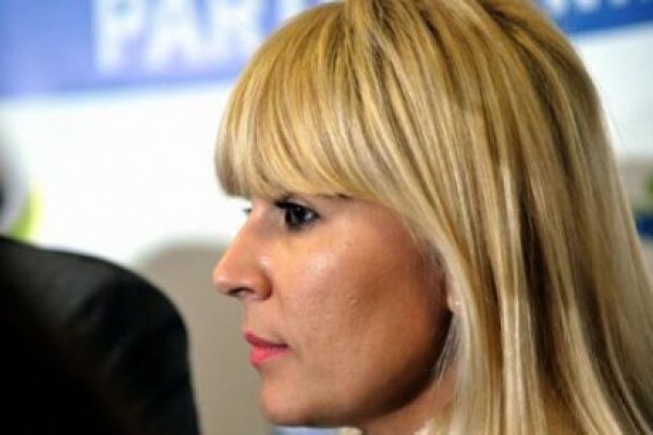 Udrea: Dacă fiecare partid de dreapta va avea candidat la prezidenţiale, câştigă Ponta